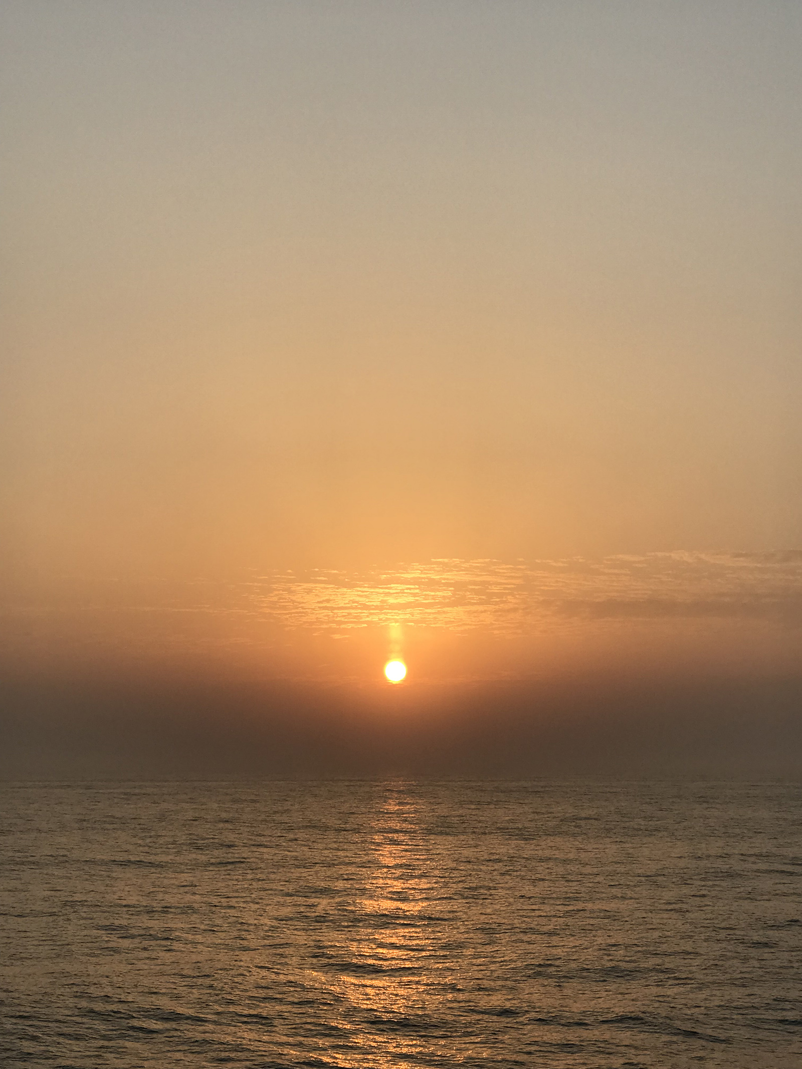 今天是4月1日,天气晴,早上5点多点醒来看海上日出,早起的鸟儿有虫吃